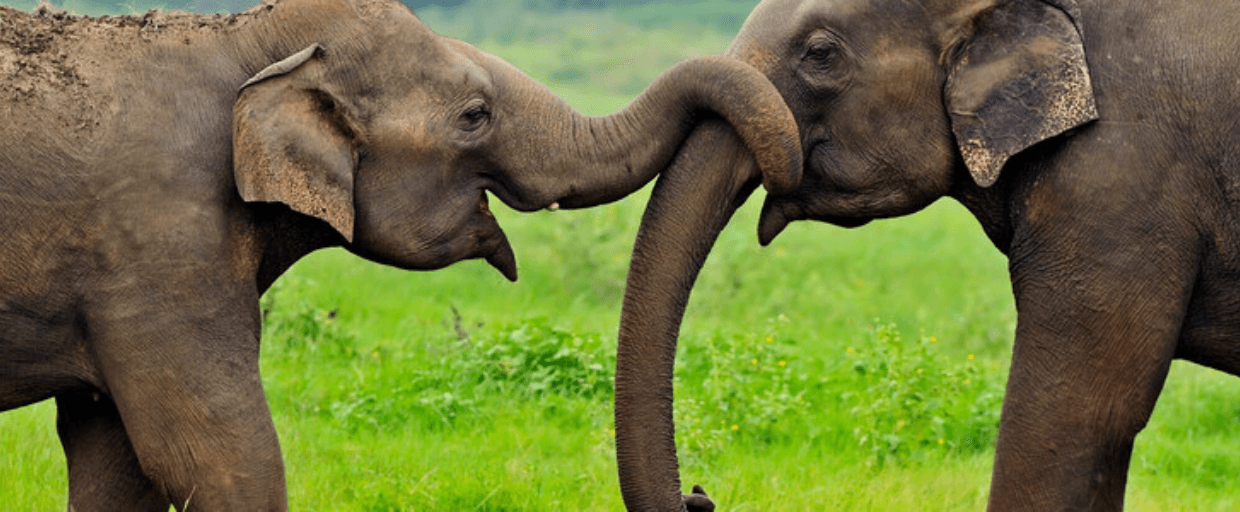 Riviera Travel Tailor-made