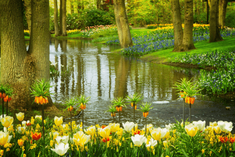Keukenhof