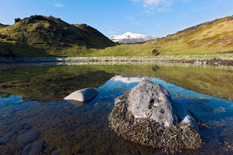 Icelandic landscape featuring a serene lake and distant snow-capped mountain under a clear blue sky.
