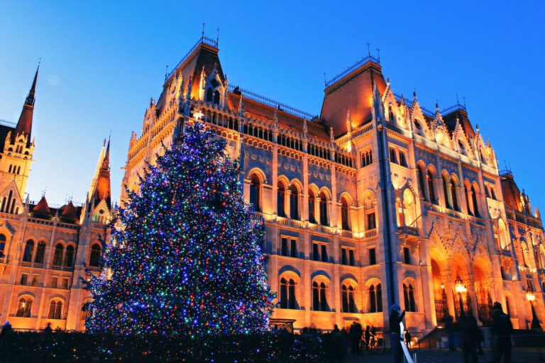 Festive Christmas tree lights up the night near a historic building's intricate architecture.