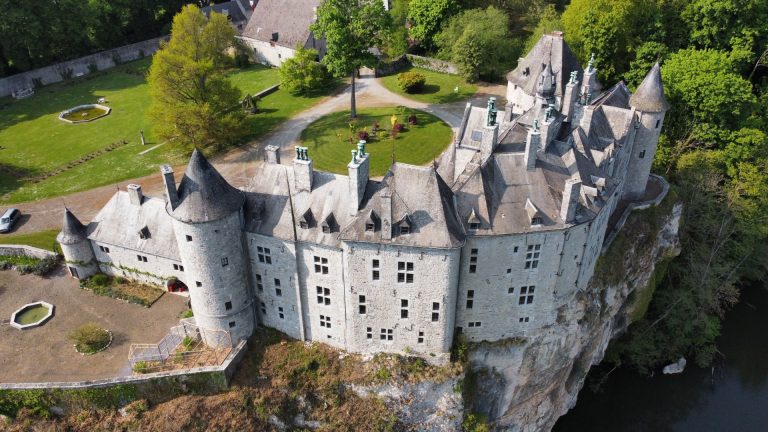 Stunning aerial shot of historic castle in Dinant, Belgium, surrounded by greenery.