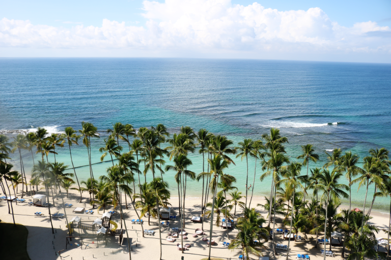 Aerial view of a serene beach with palm trees and turquoise waters in the Dominican Republic.