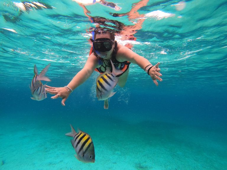 Woman snorkeling with vibrant tropical fish in Cozumel's clear blue waters.
