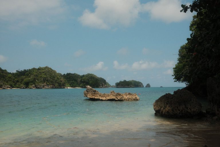 Serene view of tropical beach with rock formations and lush greenery in Jawa Timur.