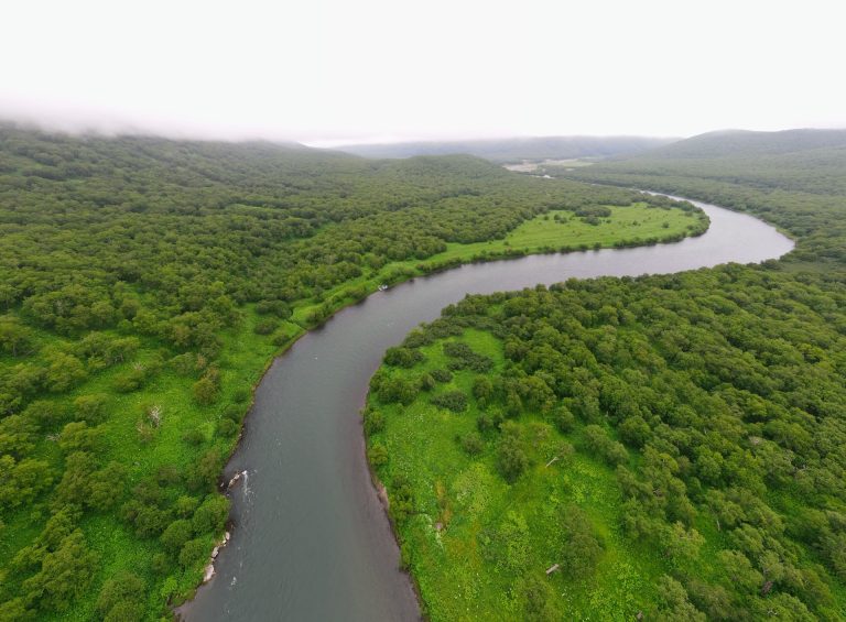 Captivating aerial view of a winding river amidst lush greenery in Kamchatka Krai, Russia.