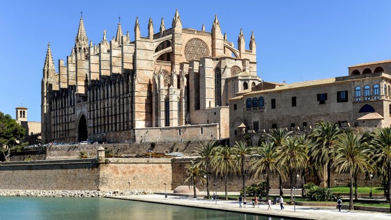 Gothic architecture of La Seu Cathedral in Palma, Mallorca with palm trees under clear blue sky.