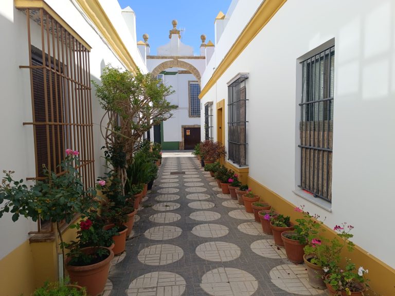 A picturesque courtyard with potted plants in Puerto Real, Spain, showcasing Andalusian architecture.